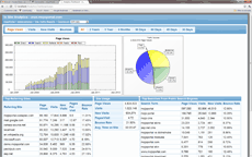 screen shot of In Site Analytics Dashboard