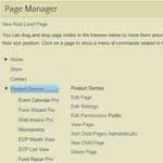 Page Manager Pro