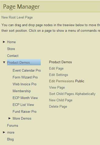 Page Manager Pro
