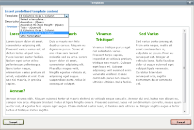 screenshot of TinyMCE content templates browser